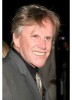 photo Gary Busey