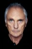 photo Terence Stamp