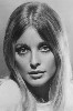 photo Sharon Tate