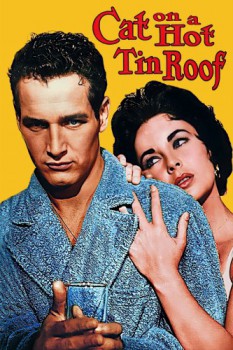 poster Cat on a Hot Tin Roof  (1958)