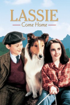 poster Lassie Come Home  (1943)