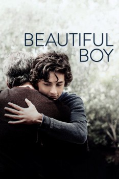 poster Beautiful Boy  (2018)