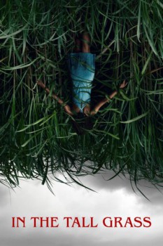 poster Stephen King  In the Tall Grass  (2019)