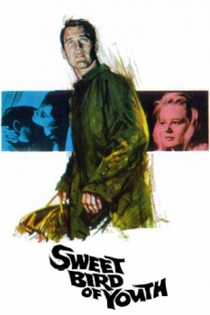 poster Sweet Bird of Youth  (1962)
