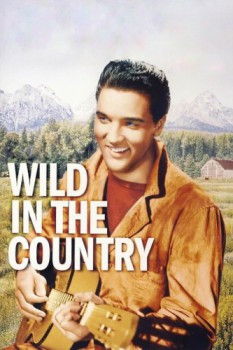 poster Wild in the Country  (1961)