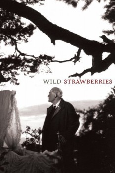 poster Wild Strawberries  (1957)