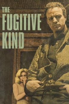 poster The Fugitive Kind  (1960)